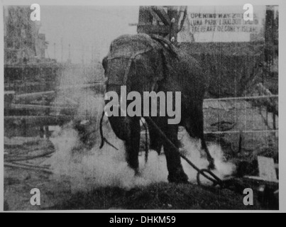 Feuert ein Elefant, Luna Park, Coney Island, NY, USA, gefilmt von Thomas Edison, 1903 Stockfoto