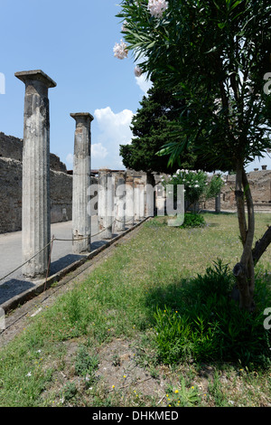 Die westlichen Portikus von der großen hinteren Säulenhalle, die von 43 Spalten im Haus des Faun, Pompeji Italien umschlossen war. Stockfoto