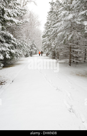 Franconia Notch State Park - landschaftlich reizvoller Blick auf den Franconia Notch Radweg in den White Mountains von New Hampshire USA. Stockfoto