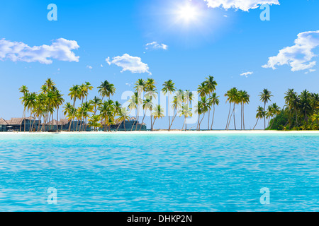 Palmen auf der tropischen Insel Stockfoto