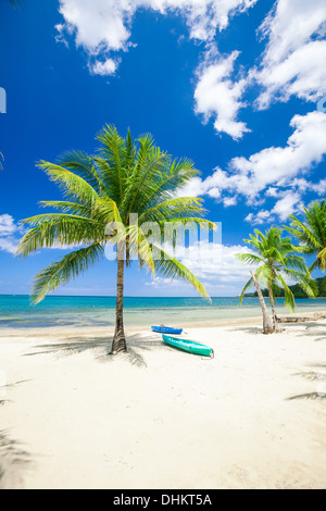 Palmetto Bay Beach Stockfoto