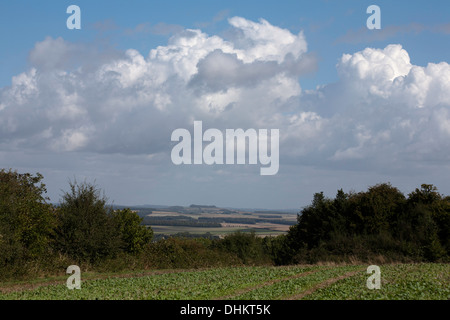 Ein Blick über die Dorset Downs von in der Nähe von Pentridge Hill The Dorset Downs in der Nähe von Cranborne Dorset-England Stockfoto