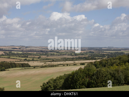 Ein Blick über die Dorset Downs von in der Nähe von Pentridge Hill The Dorset Downs in der Nähe von Cranborne Dorset-England Stockfoto