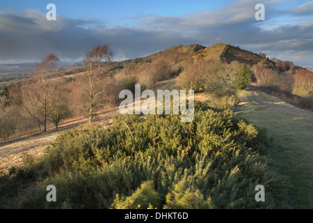 Foto von Bracken entnommen Black Hill Blick nach Norden entlang der Malvern Hills bei Sonnenuntergang Stockfoto