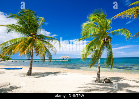 Tropischen Strand von Palmetto Bay auf der karibischen Insel Roatan Stockfoto