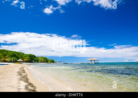 Tropischen Strand von Palmetto Bay auf der karibischen Insel Roatan Stockfoto