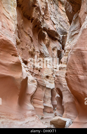 Ein Wanderweg schlängelt sich durch bunte Falten in Little Wild Horse Slot Canyon in der Nähe von Goblin Valley State Park in Utah Stockfoto