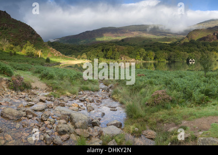 Eine Welle der frühen Morgen helle Streifen über den Rand des Llyn Dinas, Snowdonia Stockfoto