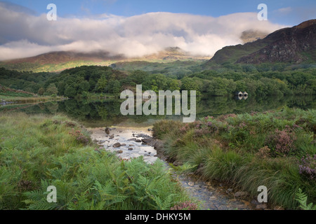 Ein Bach fließt in Llyn Dinas, Snowdonia. Yr Aran wird von der Morgensonne beleuchtet und ist teilweise von Wolken verdeckt. Stockfoto