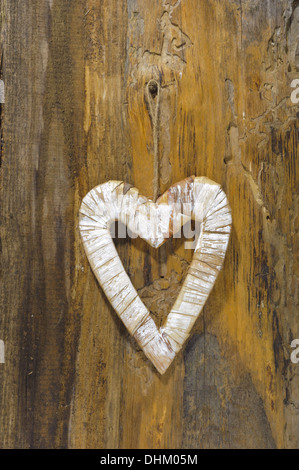 Herz aus Holz auf Baum Stockfoto