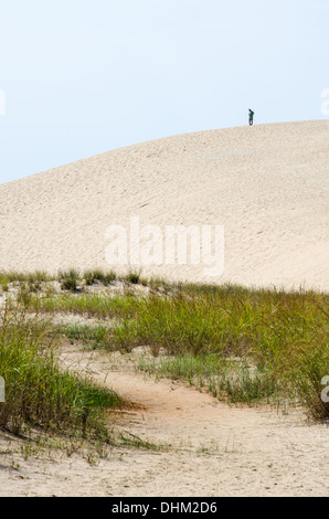 Jockeys Ridge State Park in Nag es Kopf in den Outer Banks Stockfoto