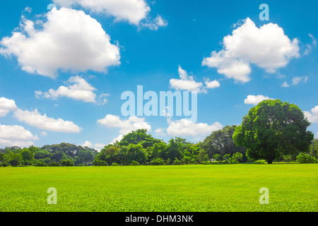 Grünanlage mit blauen Himmel Wolke im freien Stockfoto
