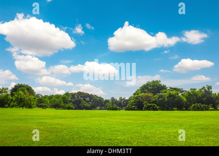 Grünanlage mit blauen Himmel Wolke im freien Stockfoto