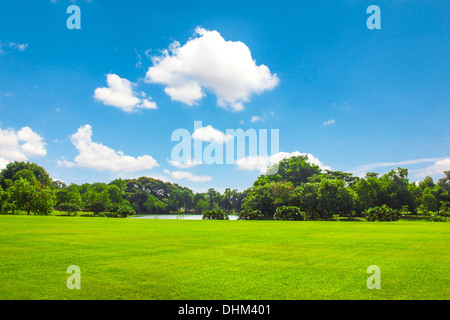 Grünanlage mit blauen Himmel Wolke im freien Stockfoto