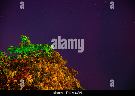 Dem stillen Sternenhimmel Shanwei, Guangdong, China Stockfoto