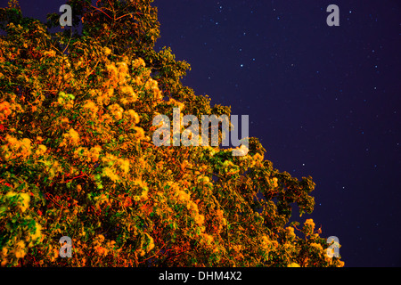 Dem stillen Sternenhimmel Shanwei, Guangdong, China Stockfoto