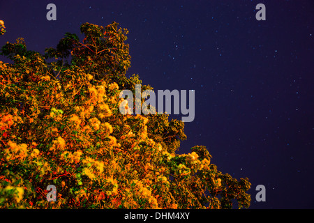 Dem stillen Sternenhimmel Shanwei, Guangdong, China Stockfoto