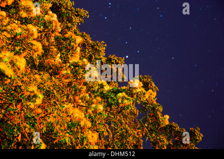 Dem stillen Sternenhimmel Shanwei, Guangdong, China Stockfoto