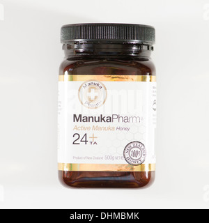 Ein Glas Topf Manuka Pharma aktiv 24 + Honig aus Neuseeland Stockfoto