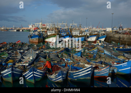 Marokko, Agadir, die Fischer am Hafen zurück vom Fischfang Stockfoto