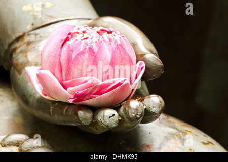 Schönheit der Lotus in der Hand des Buddha Stockfoto