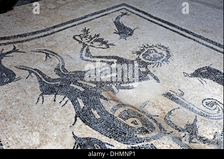 Bodenmosaik in öffentlichen Bädern in Herculaneum Stockfoto