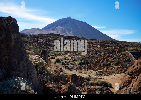 DER TEIDE, TENERIFFA, SPANIEN, KANARISCHE INSELN Stockfoto