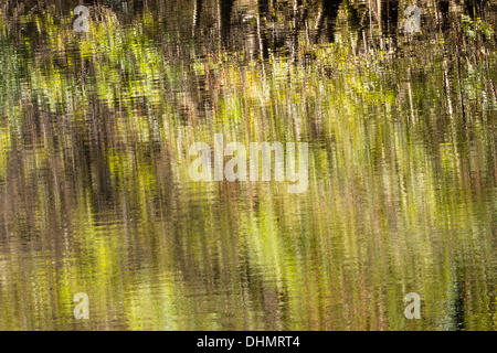 Cwmrheidol, mid Wales, UK. 13. November 2013. Herbstfarben spiegeln sich in den Rheidol Fluss in der Nähe von Aberystwyth, mid Wales. Bildnachweis: atgof.co/Alamy Live News Stockfoto