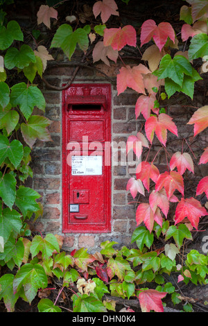 Roten Briefkasten inmitten einer Wand umgeben von wildem Wein, Grantchester, Cambridge UK Stockfoto