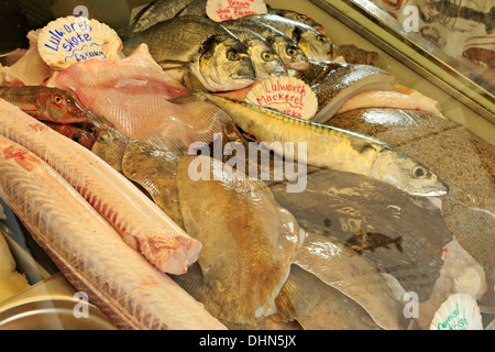 Frischer Fisch auf dem Display in einem Fischhändler Fenster in Lulworth Cove, Dorset Stockfoto