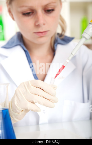 weibliche Tech oder Wissenschaftler arbeitet mit Pipette im biologischen Labor Stockfoto