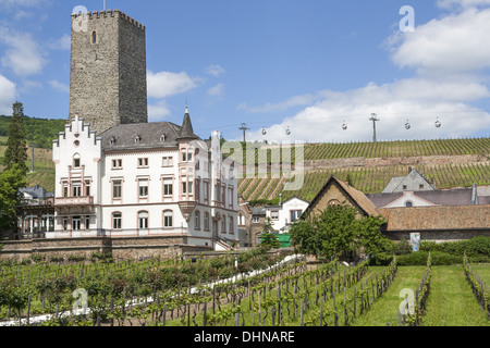 Rüdesheim Boosenburg Stockfoto