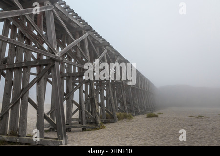 Der Pudding Creek Trestle, Teil des Ten Mile Beach Trail in der Nähe von Fort Bragg, in Nebel, MacKerricher State Park, Kalifornien, USA Stockfoto