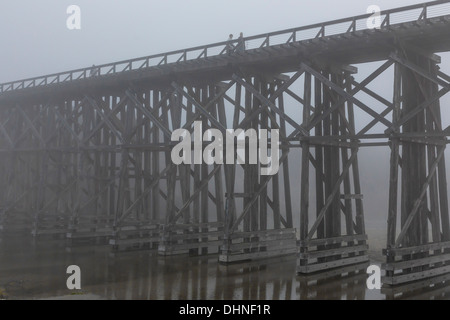 Der Pudding Creek Trestle, Teil des Ten Mile Beach Trail in der Nähe von Fort Bragg, in Nebel, MacKerricher State Park, Kalifornien, USA Stockfoto