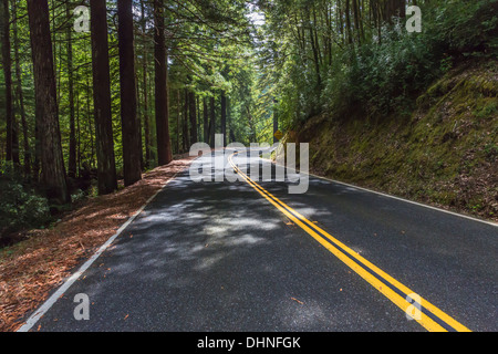 SR 1 schlängelt sich durch die große Coast Redwood-Wald in der Nähe der Pazifik-Küste zwischen Rockport und Leggett, Kalifornien, USA Stockfoto