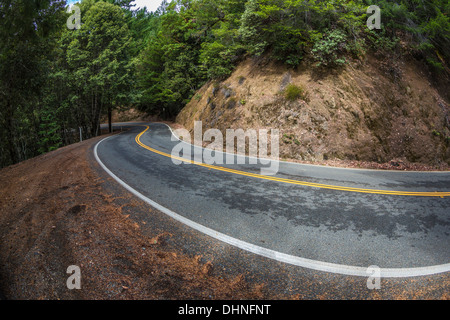 SR 1, aka der Shoreline Highway, schlängelt sich durch Coast Redwood-Wald zwischen Rockport und Leggett, Kalifornien, USA Stockfoto