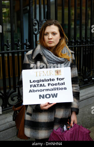 Dublin, Irland. 13. November 2013. Ein Demonstrant steht außerhalb der Dail (Irisches Parlament) mit einem Schild, das "TFMR Gesetze für die tödlichen fetalen Anomalien jetzt" liest. Zentrum der reproduktiven Rechte brachte ein Verfahren gegen Irland in der UN-Menschenrechtsausschuss im Namen Amanda Mellet. Sie musste in das Vereinigte Königreich für eine Abtreibung zu reisen, nachdem sie während ihrer Schwangerschaft mit tödlichen fetale Anomalie diagnostiziert worden war. Abtreibungen für tödlichen Missbildungen sind in Irland verboten. Bildnachweis: Michael Debets/Alamy Live-Nachrichten Stockfoto