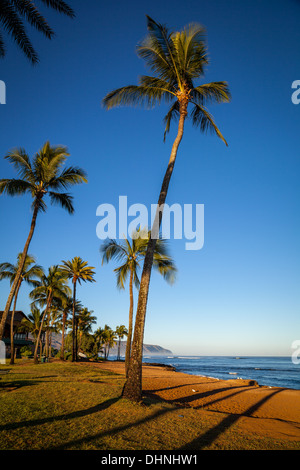 Morgen am Haleiwa Ali ' i Beach Park Stockfoto