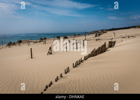 Sanddünen am Playa Valdevaqueros in Tarifa, Südspanien. Stockfoto