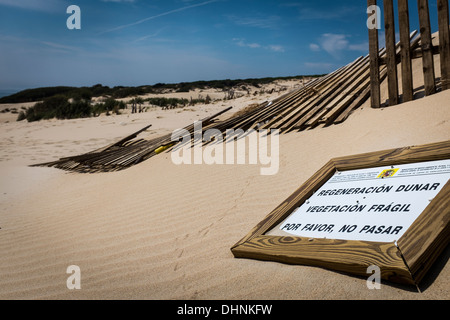 Sanddünen am Playa Valdevaqueros in Tarifa, Südspanien. Stockfoto