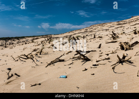 Sanddünen am Playa Valdevaqueros in Tarifa, Südspanien. Stockfoto