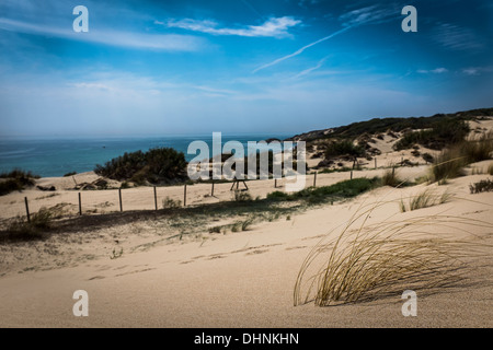 Sanddünen am Playa Valdevaqueros in Tarifa, Südspanien. Stockfoto