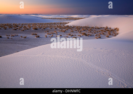 Dünen und Sträucher bei Sonnenaufgang, White Sands National Park, Alamogordo, New Mexiko USA Stockfoto