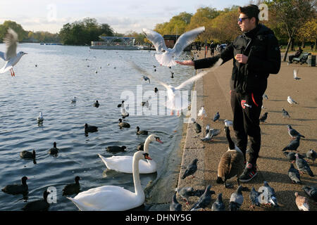 Junger Mann Fütterung Vögel neben The Serpentine im Hyde Park. London, UK. Stockfoto