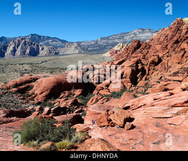 Wanderer und Kletterer erkunden Red Rock Canyon National Conservation Area; die landschaftlich reizvolle Fahrt 13-Meile ist in der Ferne Stockfoto