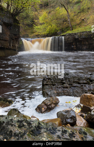 Der Fluß Swale bei Kisdon Force in der Nähe von Keld Swaledale Yorkshire Dales UK Stockfoto