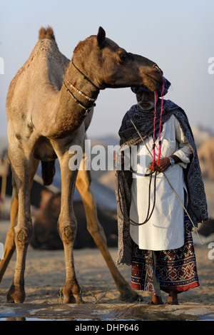 Kamele und ihre Besitzer-Portrait auf Pushkar Kamel Messe in Rajasthan, Indien. Stockfoto