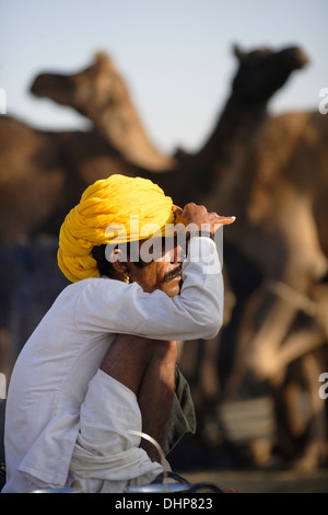 Kamele und ihre Besitzer-Portrait auf Pushkar Kamel Messe in Rajasthan, Indien. Stockfoto