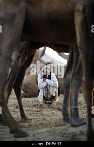 Kamele und ihre Besitzer-Portrait auf Pushkar Kamel Messe in Rajasthan, Indien. Stockfoto