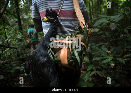 27. April 2013 - Poti-Kro, Para, Brasilien - hat eine erfolgreiche Jagdreise ein Ar, ein Dschungel Vogel und Cupuacu erbracht. Weil die Cupuacu Frucht unhandlich ist, gestaltet die Jäger schnell eine Kanhipex (Beutel) aus Palmwedeln und Streifen der Rinde. Die Ureinwohner Xikrin live auf der Bacaja, einem Nebenfluss des am Xingu-Fluss, wo Bau des Belo-Monte-Staudamm Höhepunkt Bau erreicht. Einige Wissenschaftler warnen, dass der Wasserstand der Bacaja jäh durch den Damm sinkt. (Kredit-Bild: © Taylor Weidman/ZUMA Wire/ZUMAPRESS.com) Stockfoto